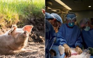 image_editor_output_image-1868019845-1634903227098