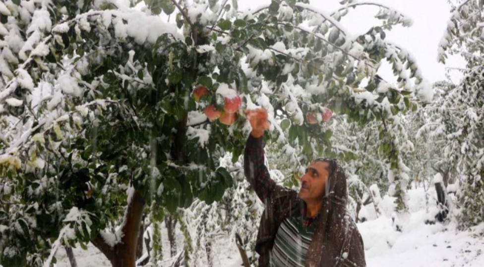 image_editor_output_image1541369744-1635047211649