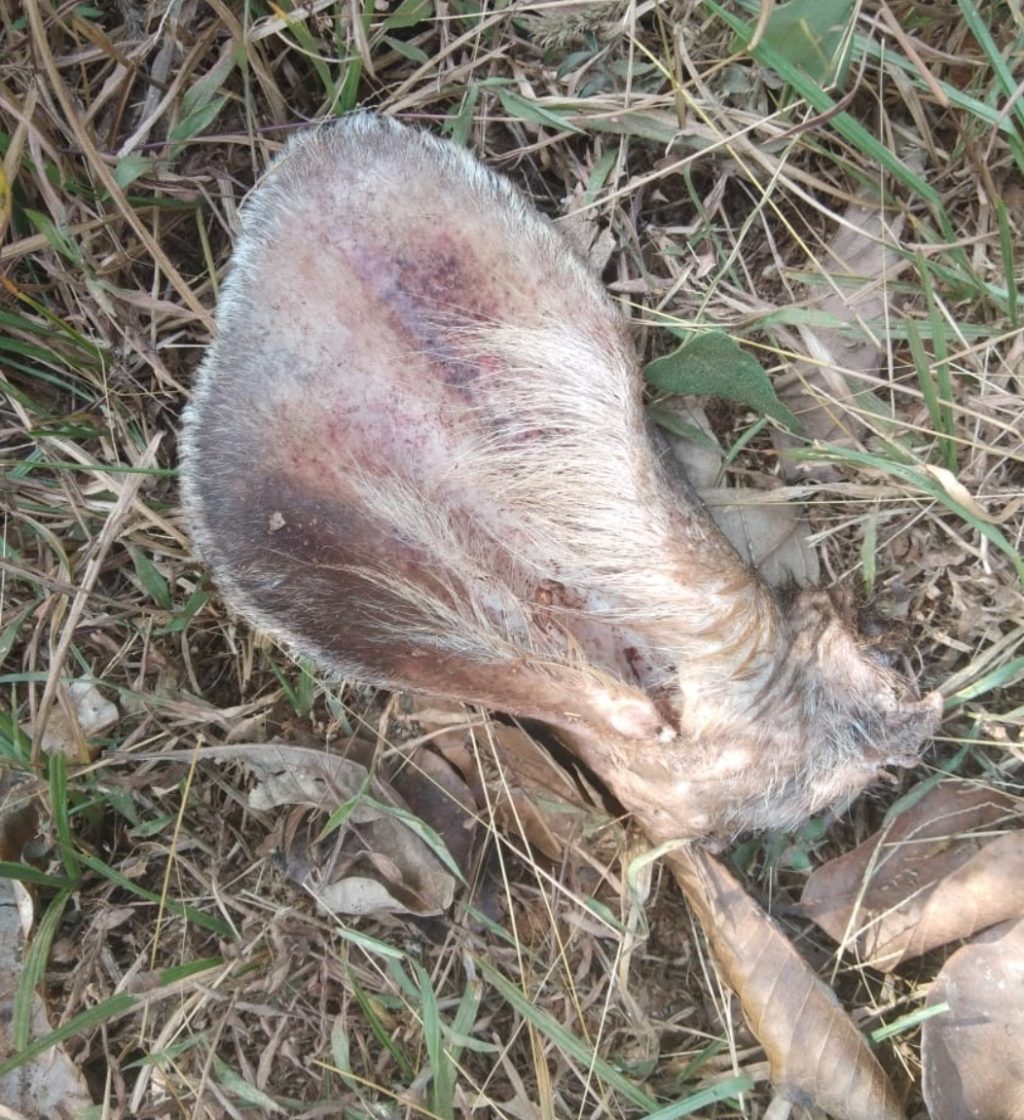 image_editor_output_image960738819-1644292580164