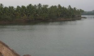 image_editor_output_image-410525019-1648984765898