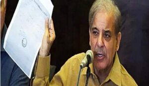 image_editor_output_image1701952400-1649678543872