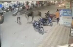 image_editor_output_image1860772131-1649002164152