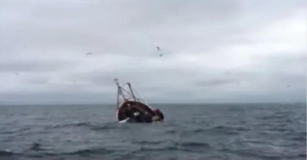 image_editor_output_image-546750141-1661403729454