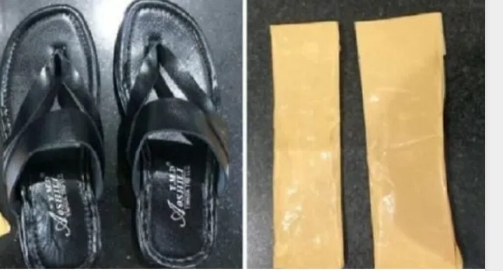 image_editor_output_image1681709576-1660147098747