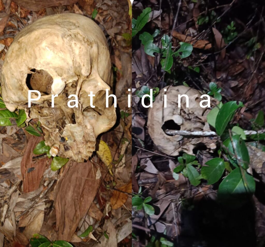 image_editor_output_image2022263394-1660015487323