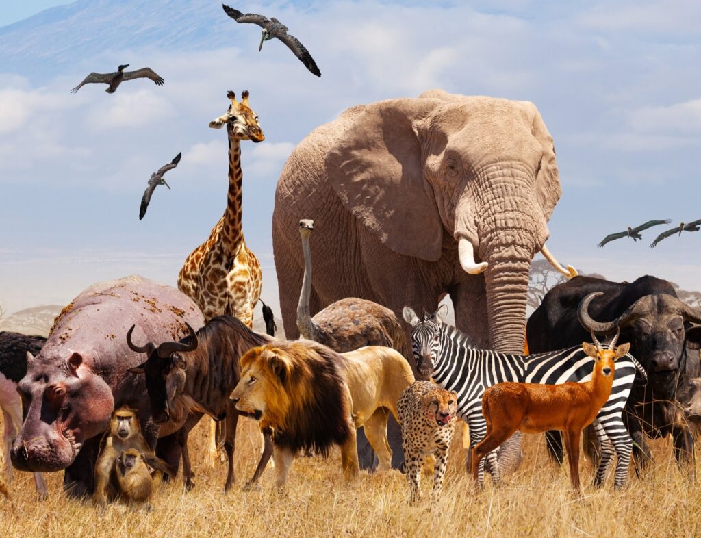 image_editor_output_image742088606-1661791040094