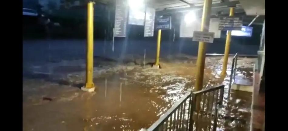 image_editor_output_image927348101-1659369392037