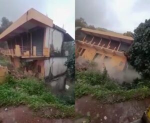 image_editor_output_image935650575-1659859135277