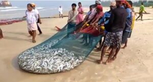 image_editor_output_image-1736128576-1665563110402