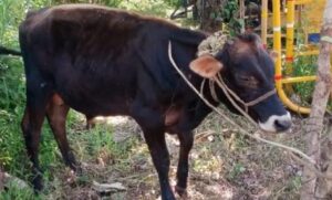 image_editor_output_image-488707522-1665302329335