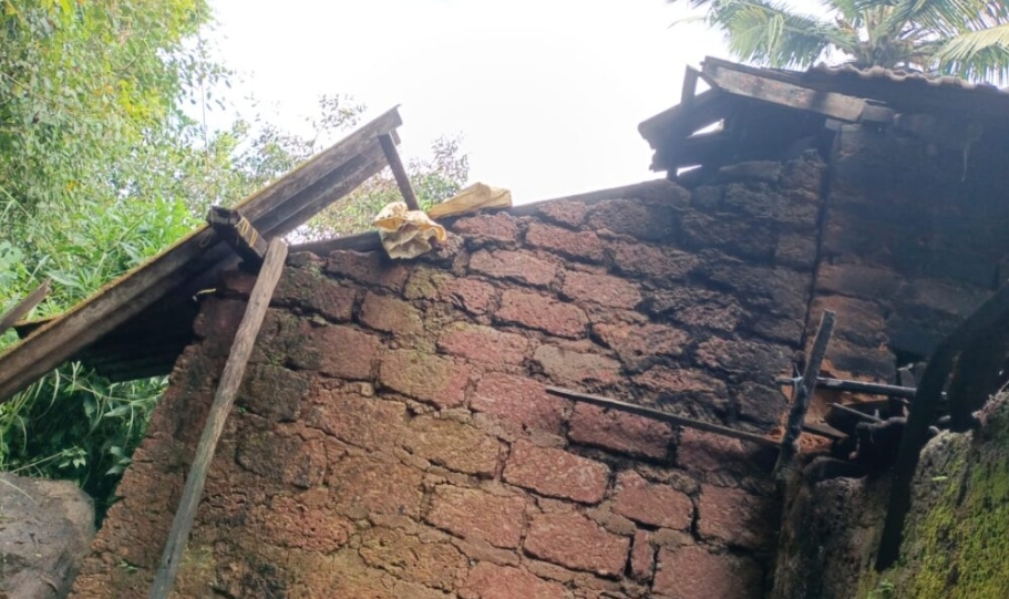 image_editor_output_image1776527909-1665905246220