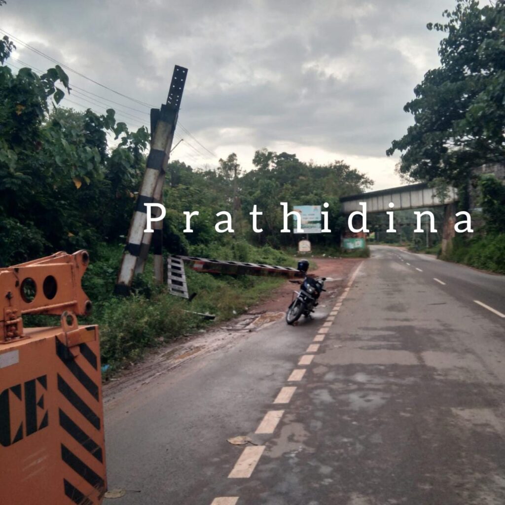 image_editor_output_image1948167512-1665896594249