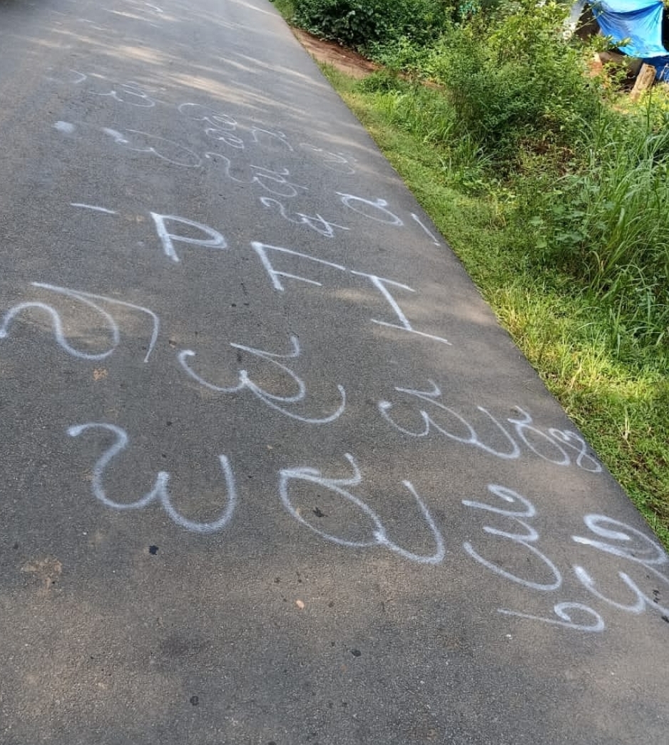 image_editor_output_image643472002-1664859503699