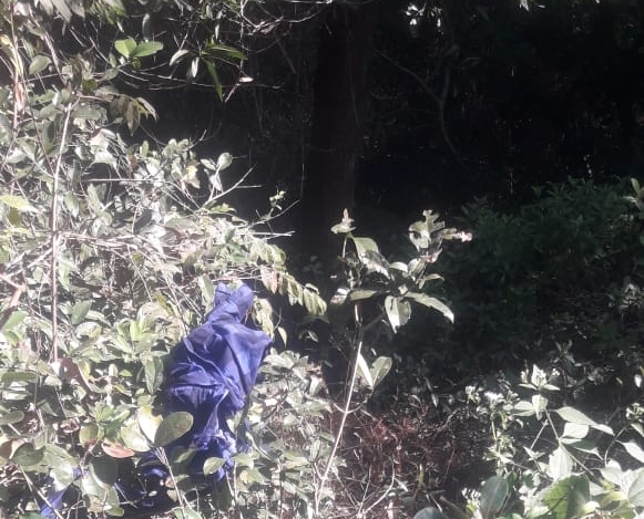 image_editor_output_image-175097885-1671600561841