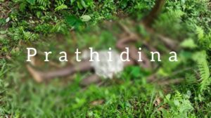 image_editor_output_image2146442330-1671378795084