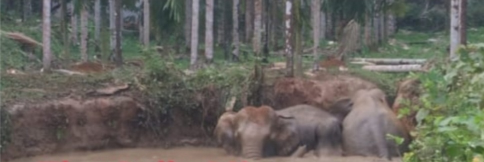 Screenshot_20230413-105932_UC Browser