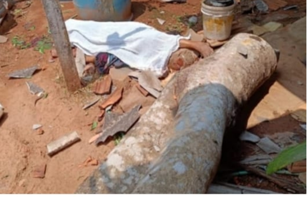 image_editor_output_image-1911425405-1682668095648