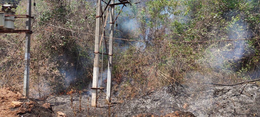 image_editor_output_image1906084955-1680513980955