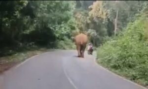 image_editor_output_image193595715-1699595361149