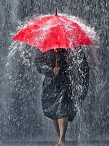 image_editor_output_image-13273175-1702554977922