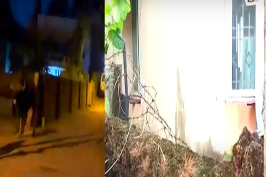 image_editor_output_image-158985213-1701697925267