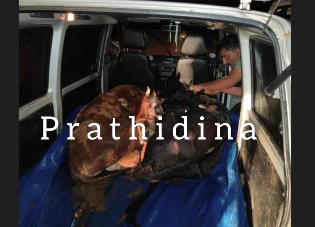 image_editor_output_image-1761885111-1702357993928