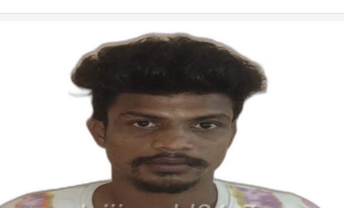 image_editor_output_image-670417412-1702305966880