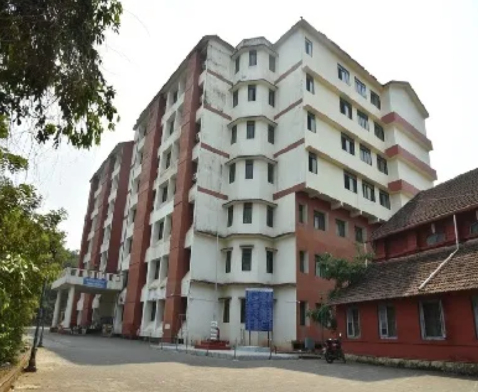 image_editor_output_image1175185191-1703069232945