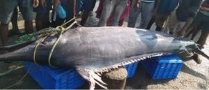 image_editor_output_image149651673-1703343310104