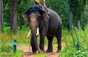 image_editor_output_image314671045-1701698250996