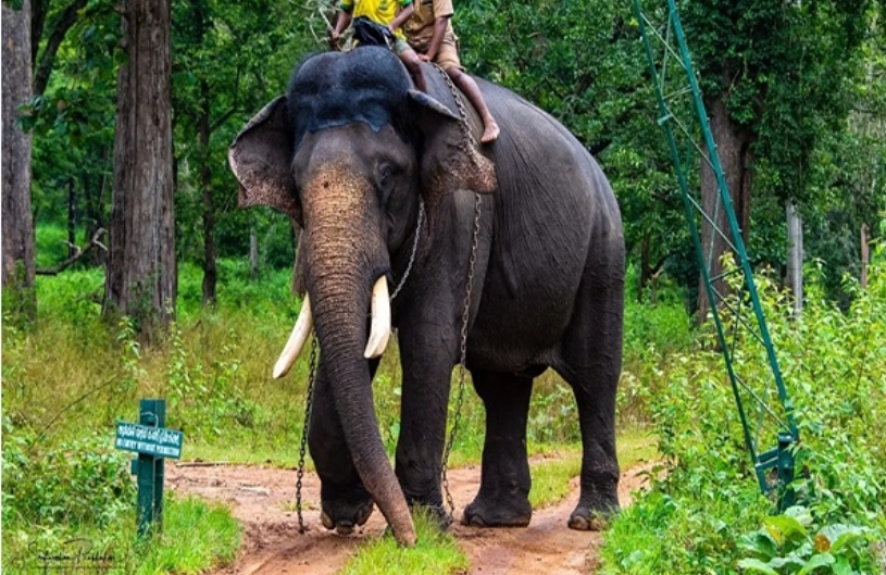 image_editor_output_image314671045-1701698250996