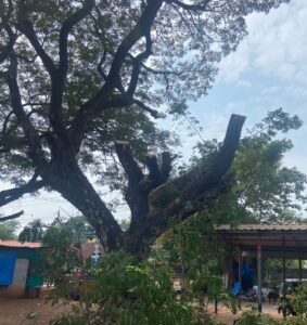 image_editor_output_image343819637-1702571879460