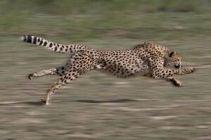 image_editor_output_image361140309-1701750595799