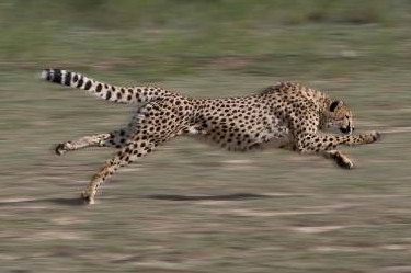 image_editor_output_image361140309-1701750595799