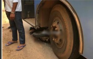 image_editor_output_image228688780-1705392586788