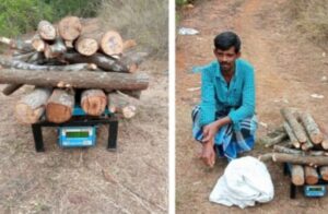 image_editor_output_image-1539451393-1713840821330