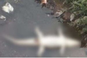 image_editor_output_image-531042889-1713082282619