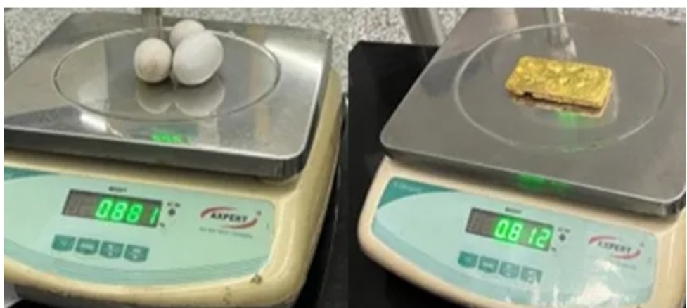 image_editor_output_image-672141866-1712902928930