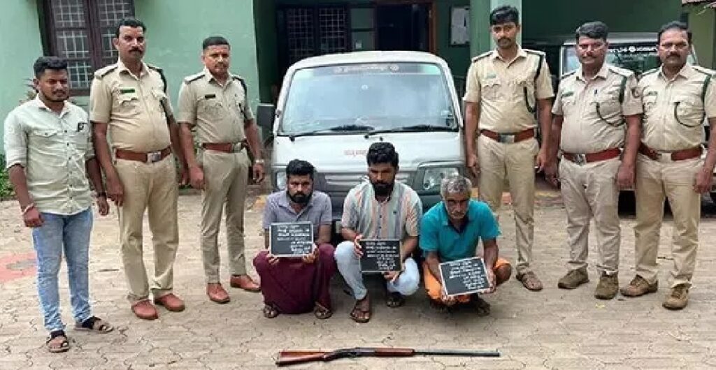 image_editor_output_image-534265320-1716525409526