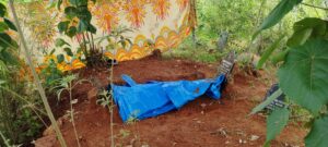 image_editor_output_image1401328989-1716444587720