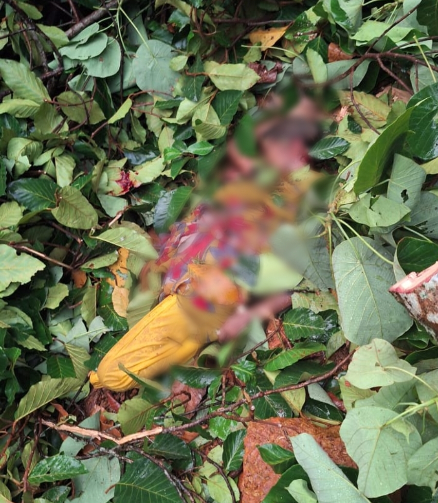 image_editor_output_image274144351-1715791096812