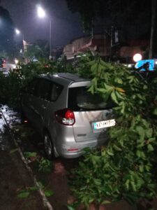 image_editor_output_image379758200-1716355740336