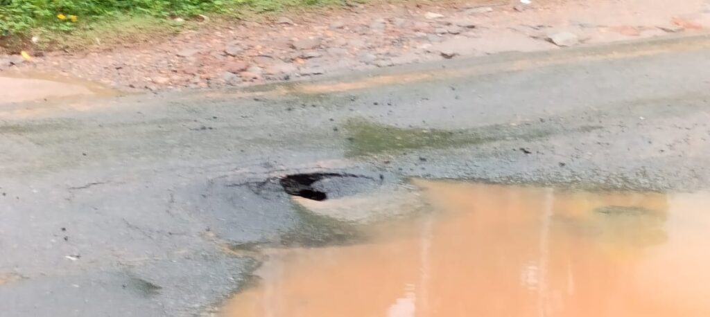 image_editor_output_image-1987207249-1719397131238