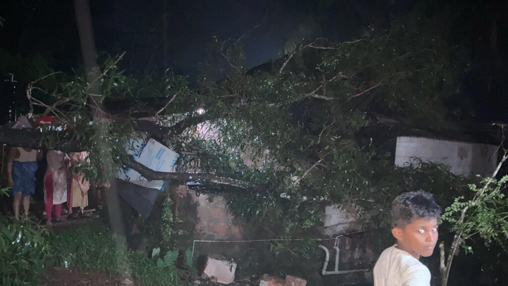 image_editor_output_image977596949-1719162007487