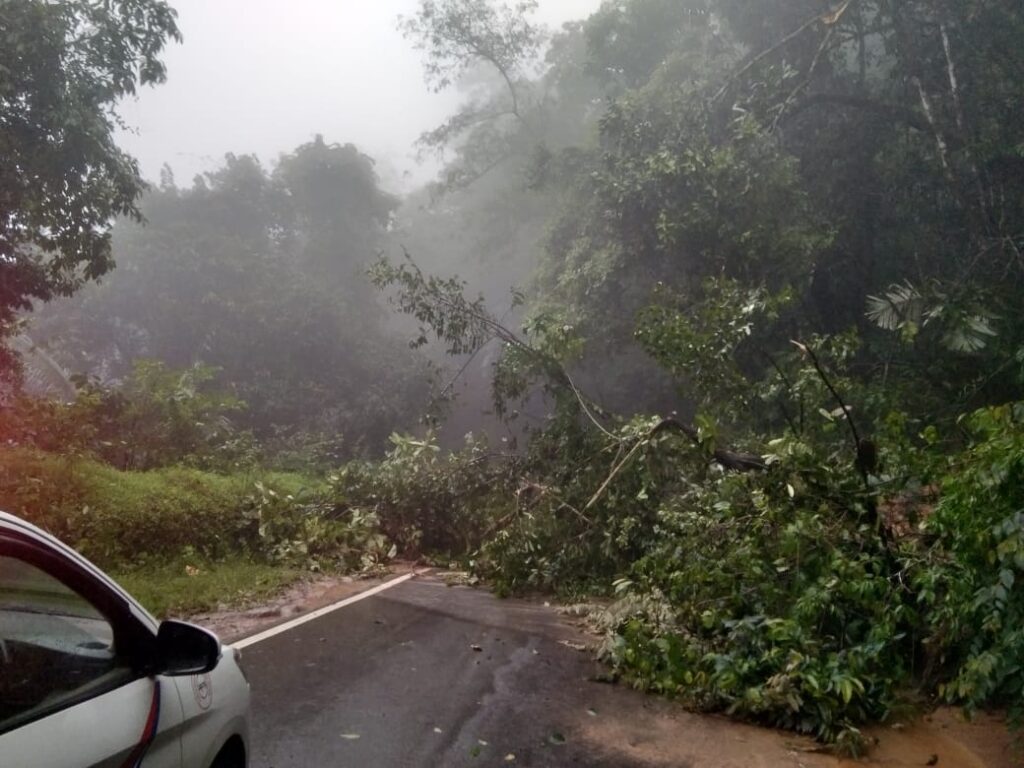 image_editor_output_image-1148757218-1722316575733