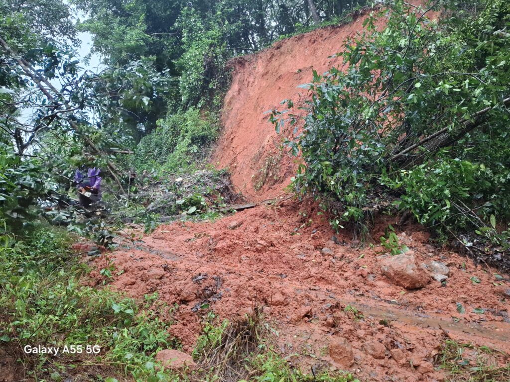 image_editor_output_image-1157068907-1722312483169