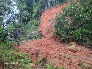 image_editor_output_image-1157068907-1722312483169