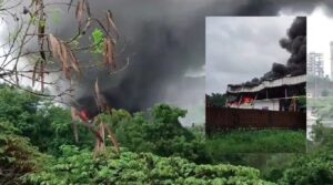 image_editor_output_image-1635476800-1720960237414