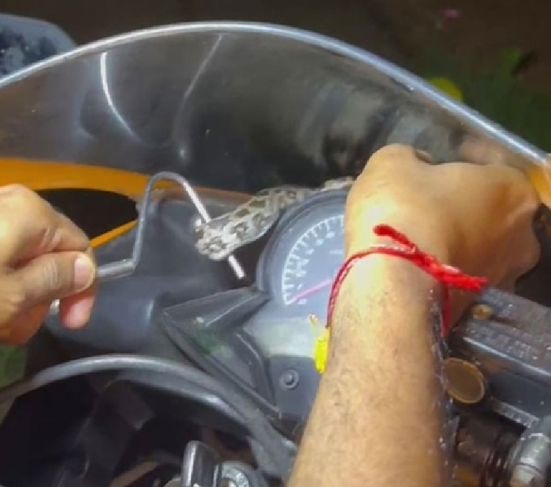 image_editor_output_image-863247975-1720010740291