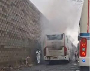 image_editor_output_image220231942-1721280156836